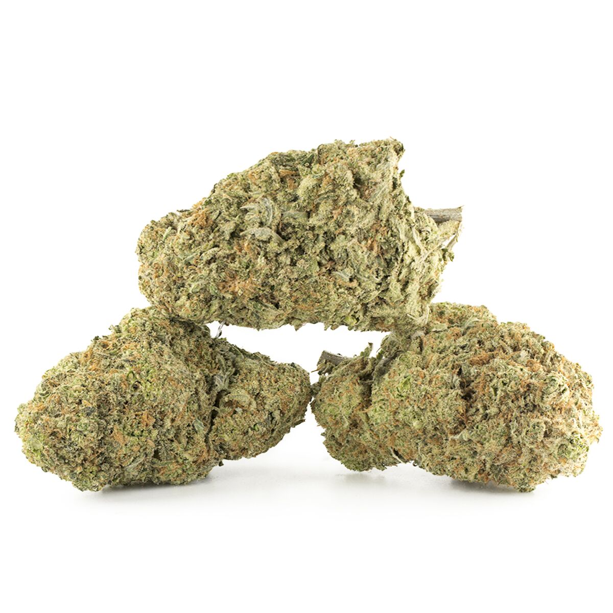 Buy Girl Scout Cookies Strain Online Buy Girl Scout Cookies Strain Online